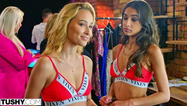 Una hermosa rubia disfruta de una doble penetración dura